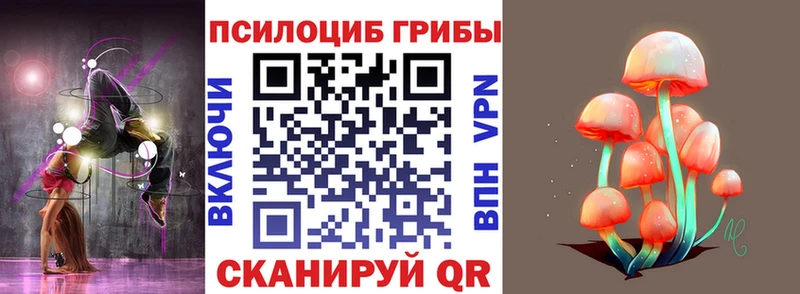 наркотики  Анжеро-Судженск  Галлюциногенные грибы Cubensis 